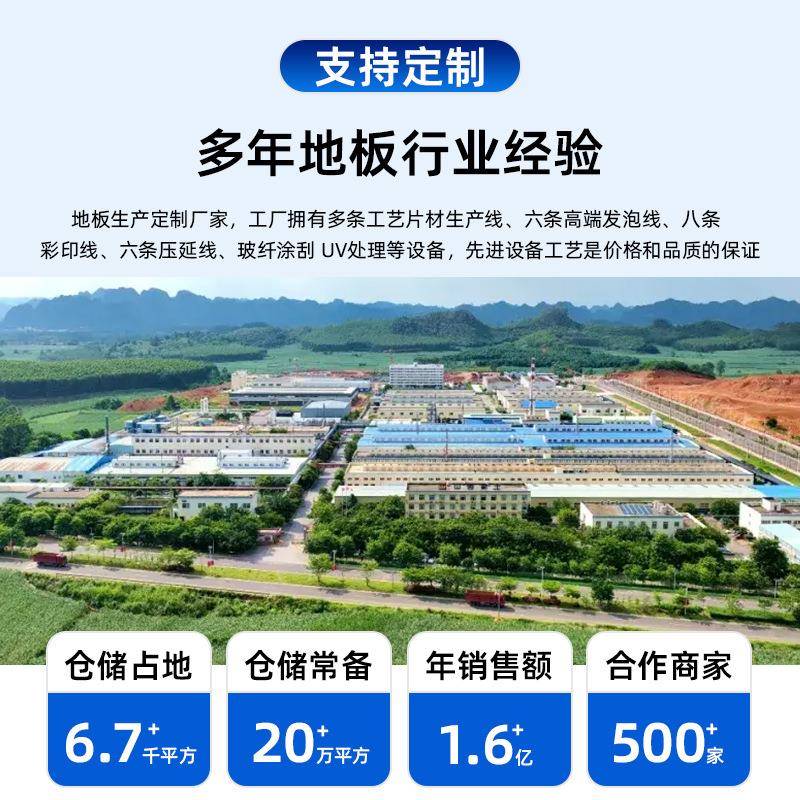 卷宽度家用多毛LDQ革防耐磨防水滑泥地直铺包邮整防火阻燃