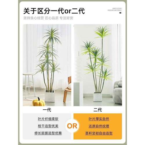 轻奢仿真植假植物仿真盆花千年木室内栽龙件血树客07958467厅绿装