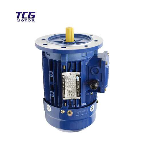 厂家直供 TCG卧立式0.09KW三相异步交流电动机可选大小法兰安装