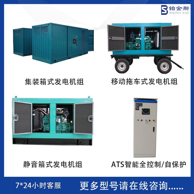 200KW柴油发电机组 潍坊里卡多三相冷库建筑备用电200千瓦发电机