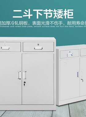 厂家加厚钢制矮柜斗节下对开门柜公办室文件3柜储物柜抽屉二落地