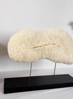 珊瑚摆件新中式海印摆轻奢装饰M1090摆件样板处间酒店售象楼玄关