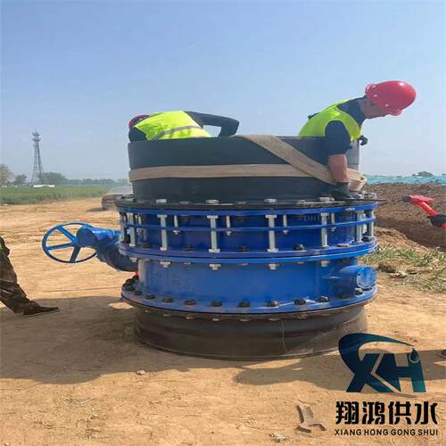 双法兰松套传力接头循XYV泵用B2环限位伸缩头可F拆式接双法兰伸缩