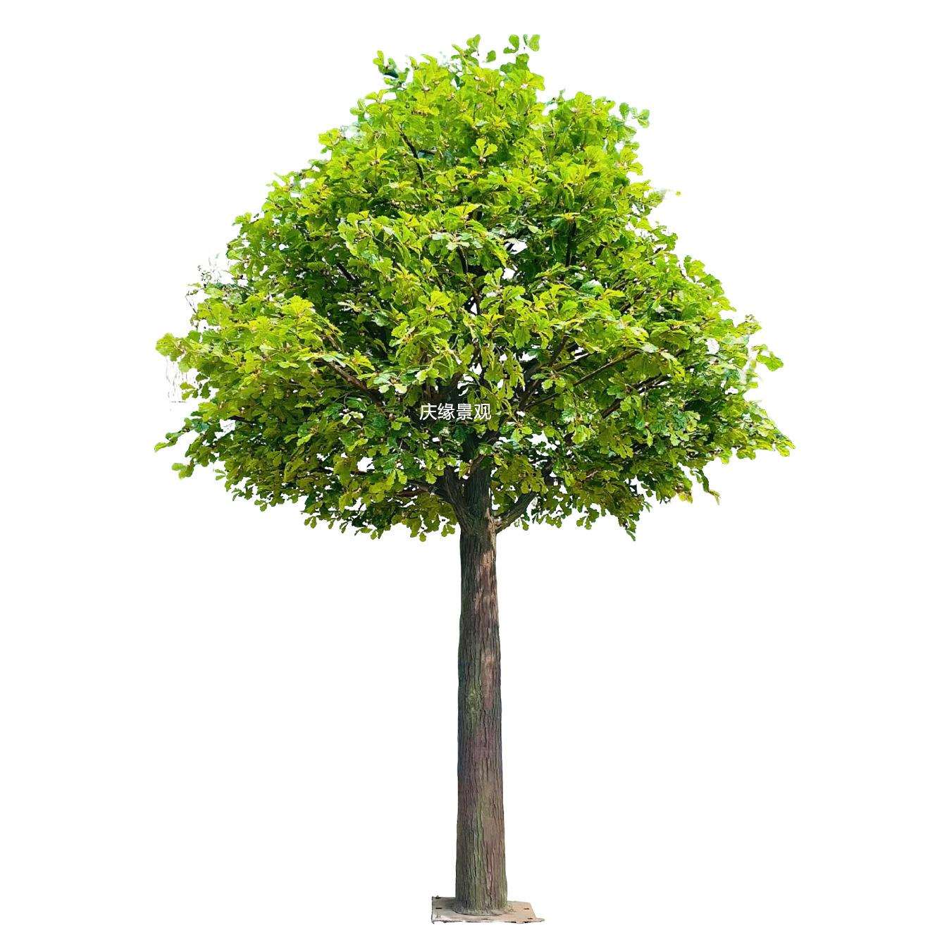 仿真红YOQ果树树蕨草栎浆树米兰树绿植园林景观店商场庭酒院布置