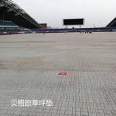 型演唱会乐节674地砖运动幕会开式 草坪保护板活动地垫音厂大家