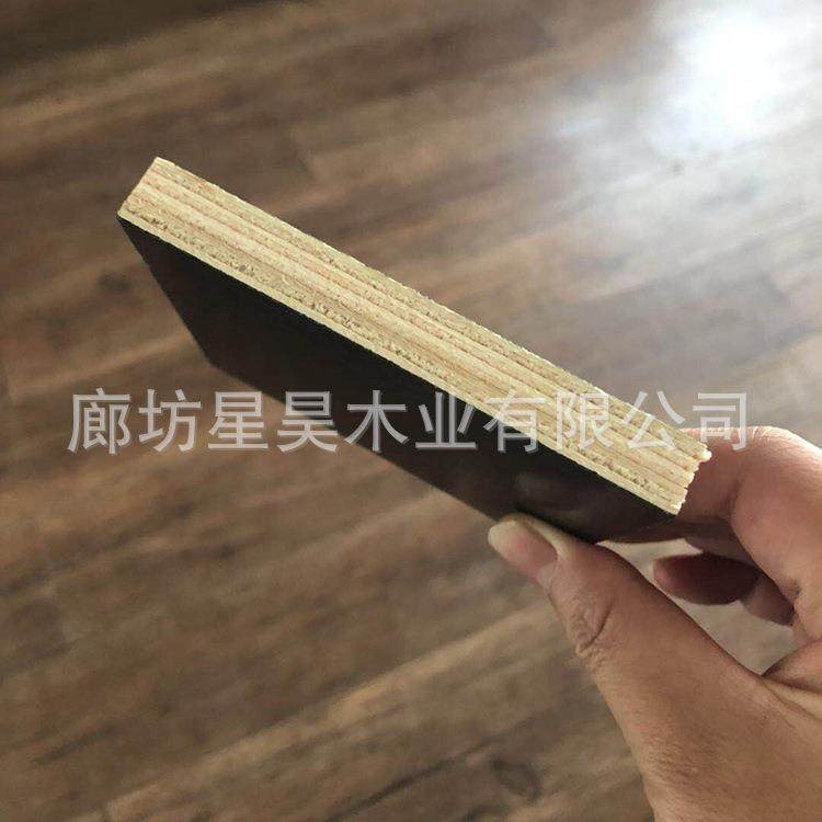 筑模215板工地建材木工板多层建胶合板高周转膜黑色覆芯整芯整结,五金/工具,其它工具,淘宝优惠券,粉丝福利购,淘宝优惠卷