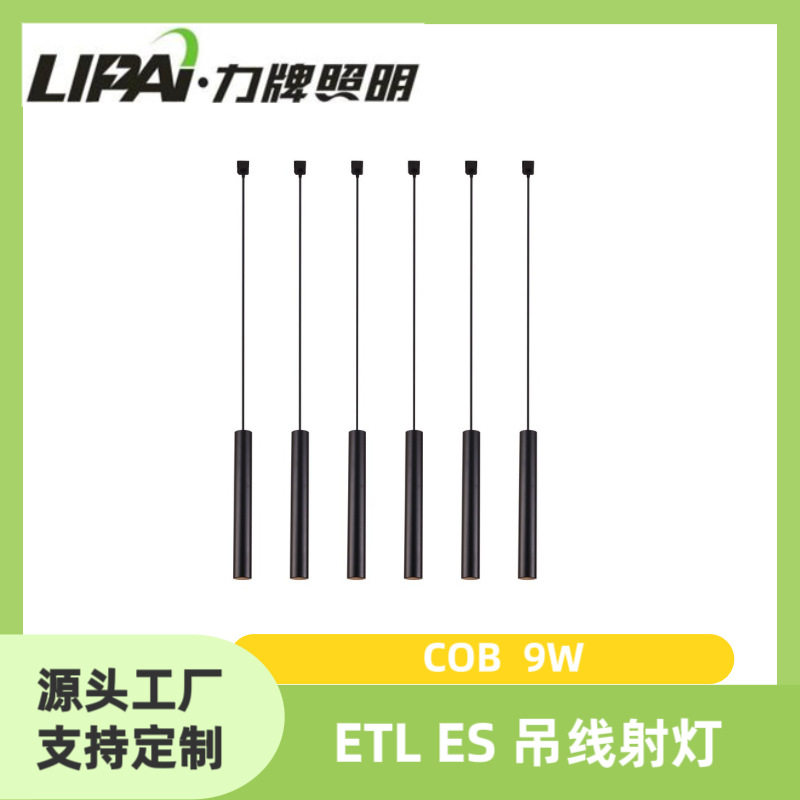 ETL ES LED9w吊线射灯轨道灯COB CRI90 24小时盐雾测试酒店办公室