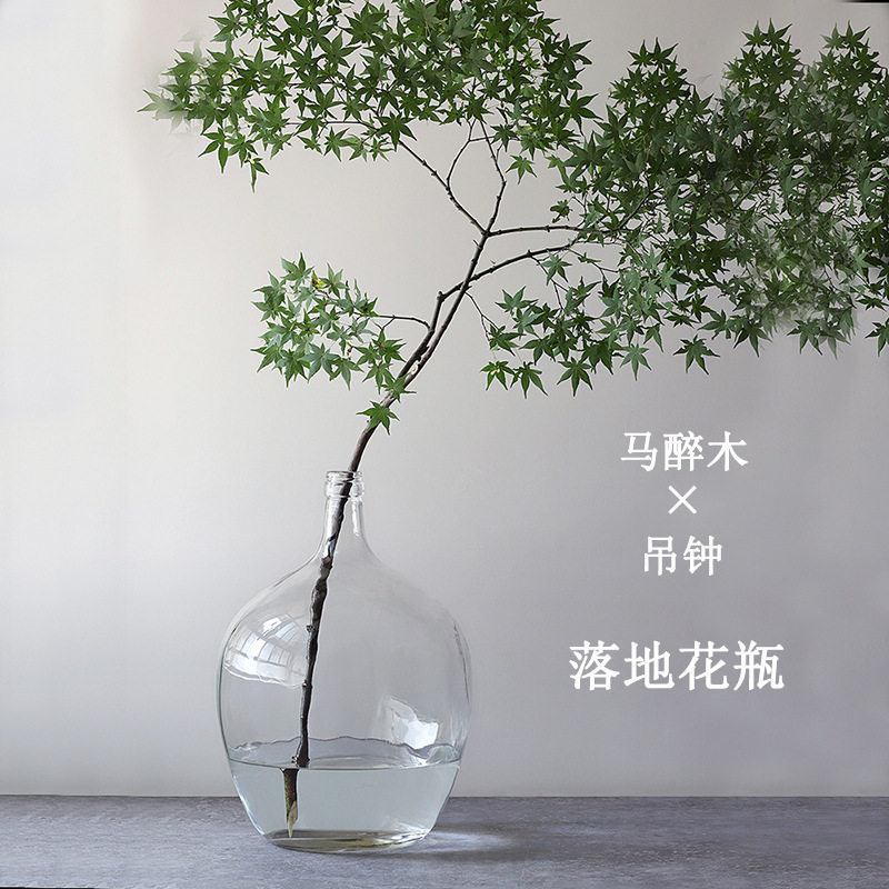 简约透明大肚玻璃花瓶小口马醉木花瓶吊钟插花客厅摆件水容器大号
