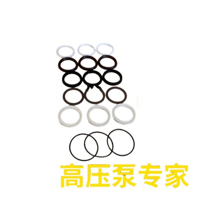 中联洗扫车意大利AR高压水泵RTX100.120N单向阀水封油封修理包