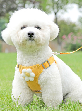 小狗狗牵引绳背心式小型t犬泰迪比熊博美专用胸背带幼犬链子遛狗