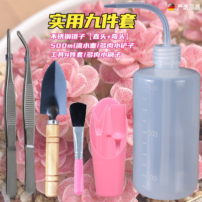 多肉专用工具g套装不锈钢镊子园艺种植铲子一整套新手家用盆栽夹