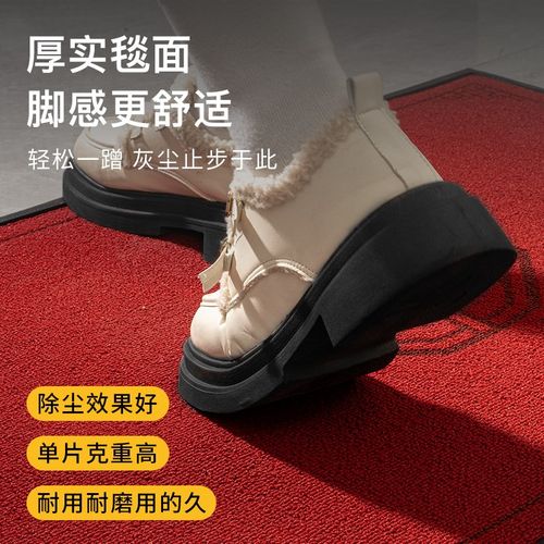 别墅入户门地垫家用进门地毯加厚新中式玄关室外高级X门外门口脚