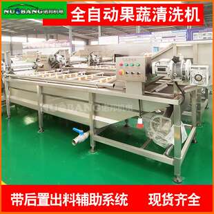 全自动红松果清洗机器 气泡冲浪喷淋拜泉芸豆清洗机 厨房清洗