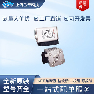 巴斯曼熔断器  170M3969 170M3970 170M3971 170M3972 170M3973