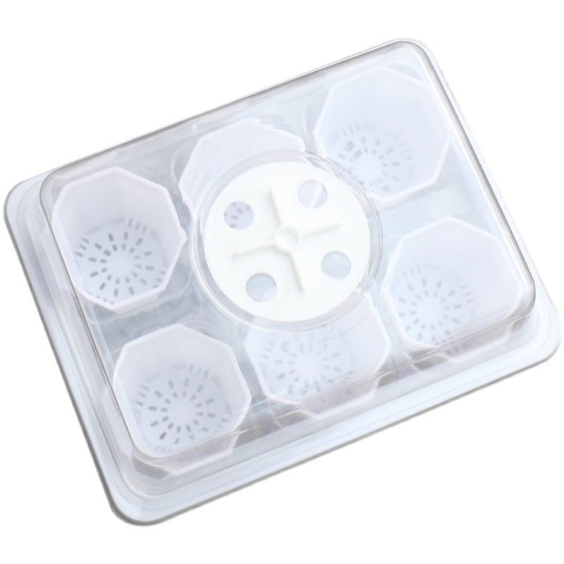 园艺多肉盆 桌面绿植花盆栽迷你八角盆塑料L盆 简约白色育苗箱包