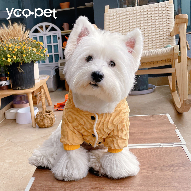 狗狗衣服冬季比熊泰迪秋冬款小型犬加厚狗M衣服小狗冬天宠物棉袄