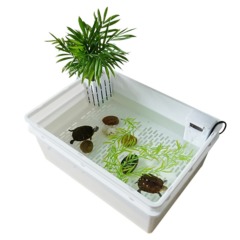 新型乌龟生态缸造景绿植双层龟便分离养龟隔O离发色盒饲养育苗盆