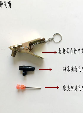 220v家用打气筒自行车电动摩托车1C2v48v60v通用自动多功能充气泵