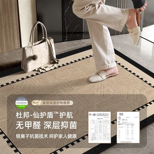 地垫入户门进门地毯门口s家用门垫防滑客厅高级入户玄关脚垫可擦