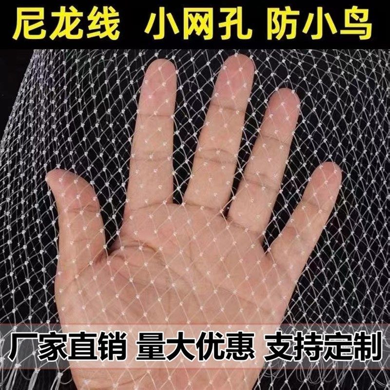 果树防鸟网果园天网尼龙网农用防鸟丝网樱桃嘉宝果蔬菜防护罩