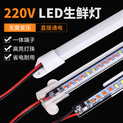 生鲜猪肉熟食灯蔬菜灯卤味灯灯超市展柜灯冰柜灯220伏LED灯条