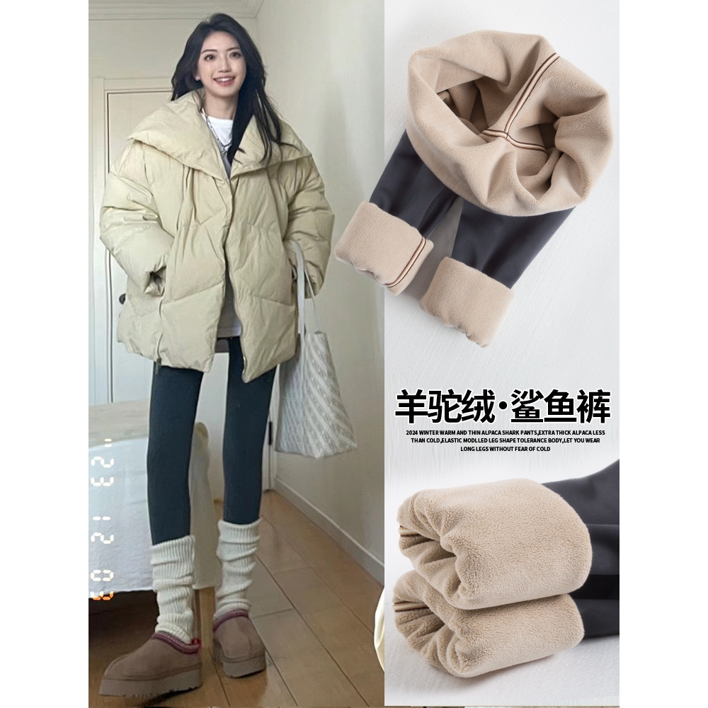 加绒鲨鱼裤女外穿秋冬季加厚保暖棉裤高腰提臀瑜伽紧身灰色打底裤