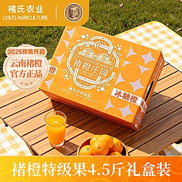 褚橙正品云南冰糖橙4.5斤现摘现发