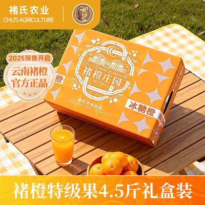 新鲜应季甜蜜化渣云南冰糖橙