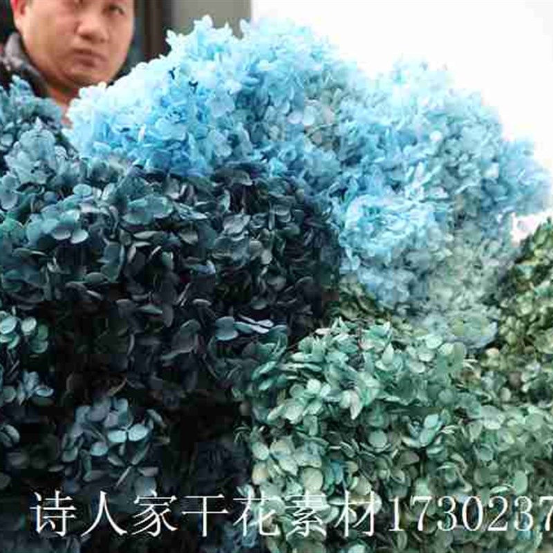 热销干花绣球八仙花圆形保鲜植物果实婚礼花艺造景材料
