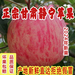 正宗甘肃静宁苹果静宁红富士竖纹条红