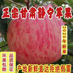 正宗甘肃静宁苹果静宁红富士竖纹条红