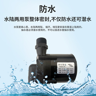 潜水抽水泵 12V24V无刷直流超静音耐高温耐腐蚀微型循环增压插管式