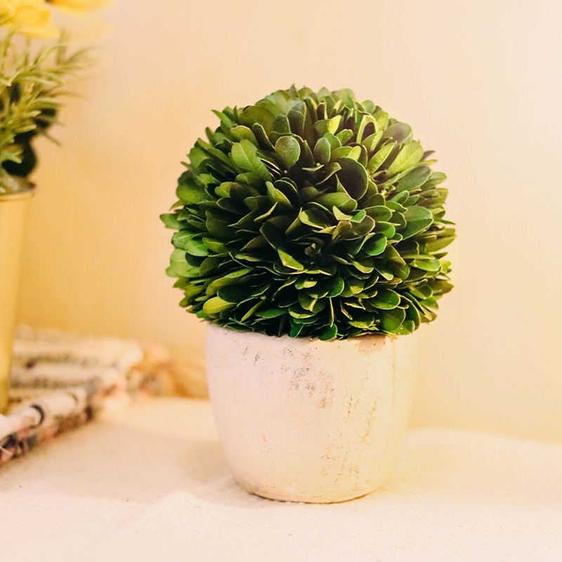 复古风迷你植物小盆栽办公室内桌面绿植好养客厅装饰摆件趣味盆景