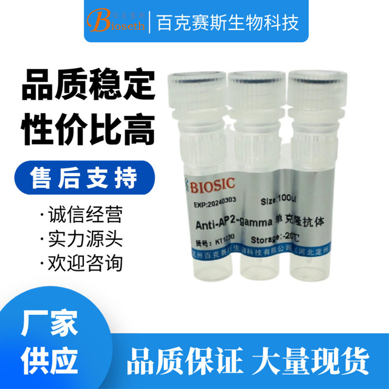 Anti-AP2-gamma Monoclonal antibody 实验用单克隆抗体
