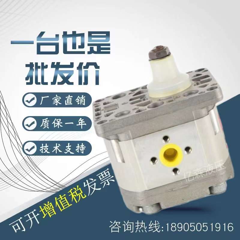 法国HPI齿轮泵P0BAN0025/0050/0075/0100/0125/0150/0200液压油