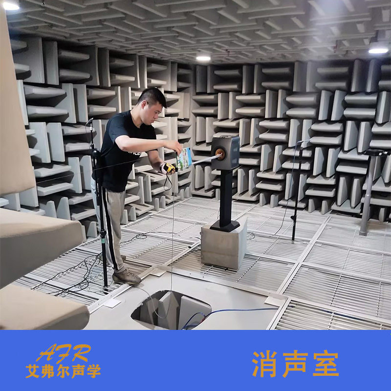 艾弗尔声学消声室源头厂家按需客户设计音响噪音测试消声室