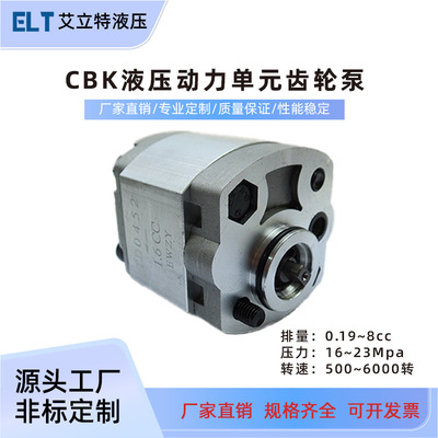CBK液压齿轮泵微型高压齿轮泵动力单元小型液压泵高转速齿轮泵
