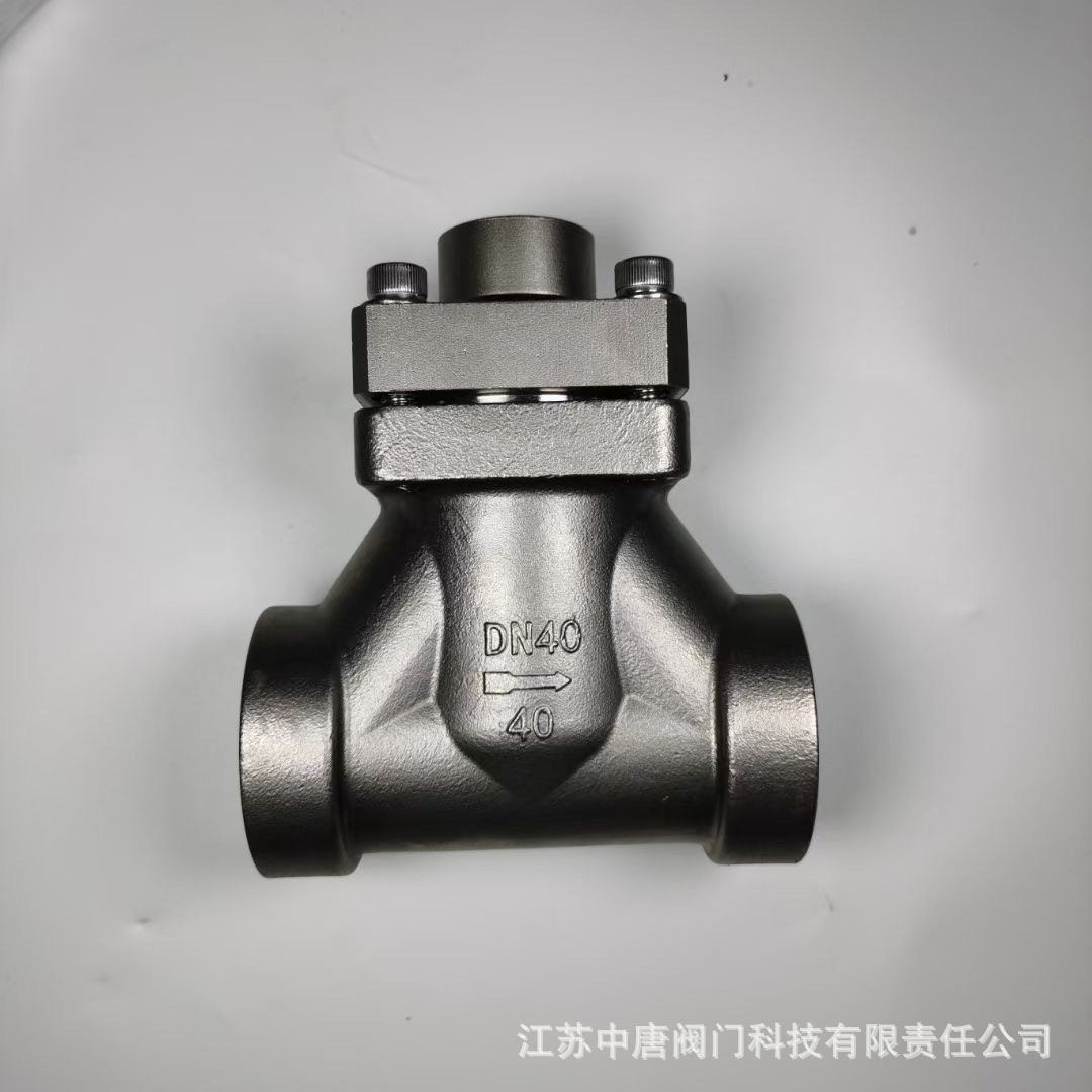 DH61F-40P焊接低温止回阀 -196°C零下低温止回阀 液氧C02止回阀