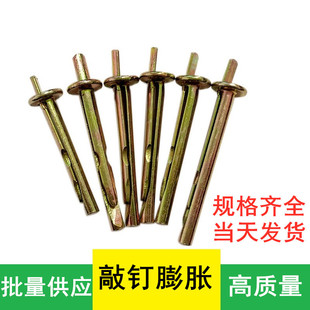 打入式 锤击膨胀 膨胀螺丝6mm敲钉 插片壁虎 水泥墙快速壁虎膨胀钉