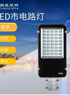 小牙刷小金豆路灯LED市政工程厂家供应220V50W100W120W市电路灯