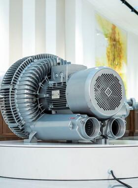 全风环保RB-21D-20.4KW400W电镀槽曝气高压风机