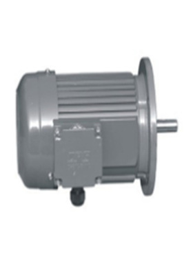 晟邦邦电机，城邦电机，CPG , CV-400S  CV-750S   CV-1500S。