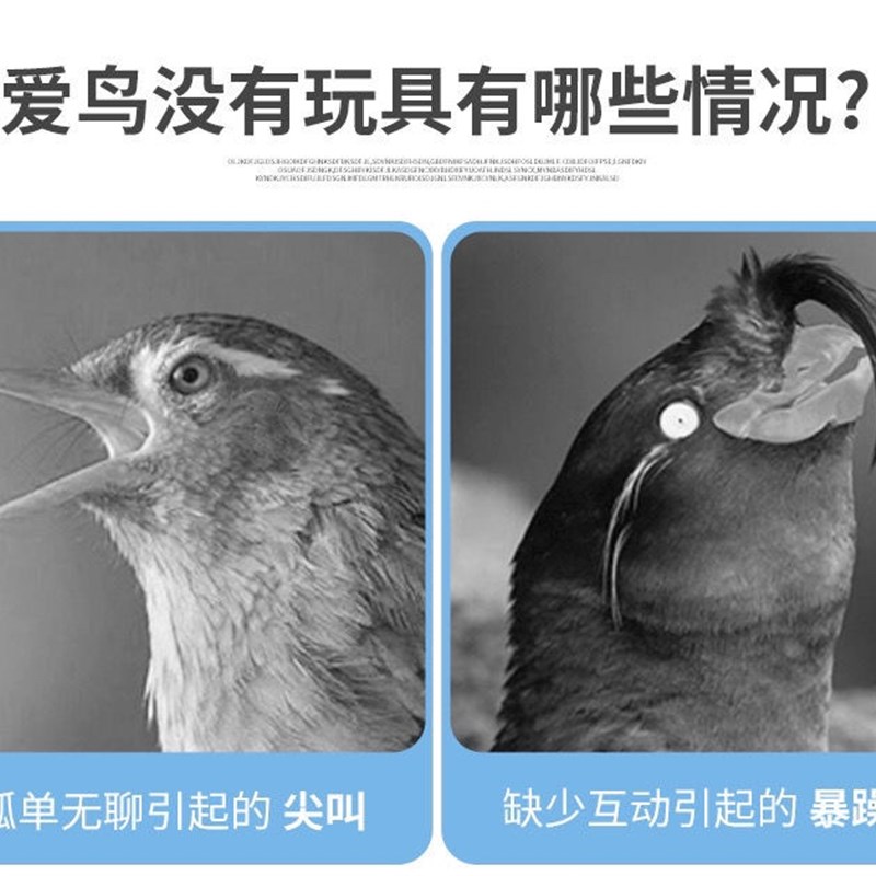 鹦鹉鸟玩具虎皮玄凤秋千棉绳啃咬玩具攀爬玩具鸟用品鸟笼装饰长杆