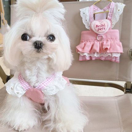 宠物桃心牛仔裙狗狗猫咪可牵引胸背衣服春夏季小型幼犬薄款公主装