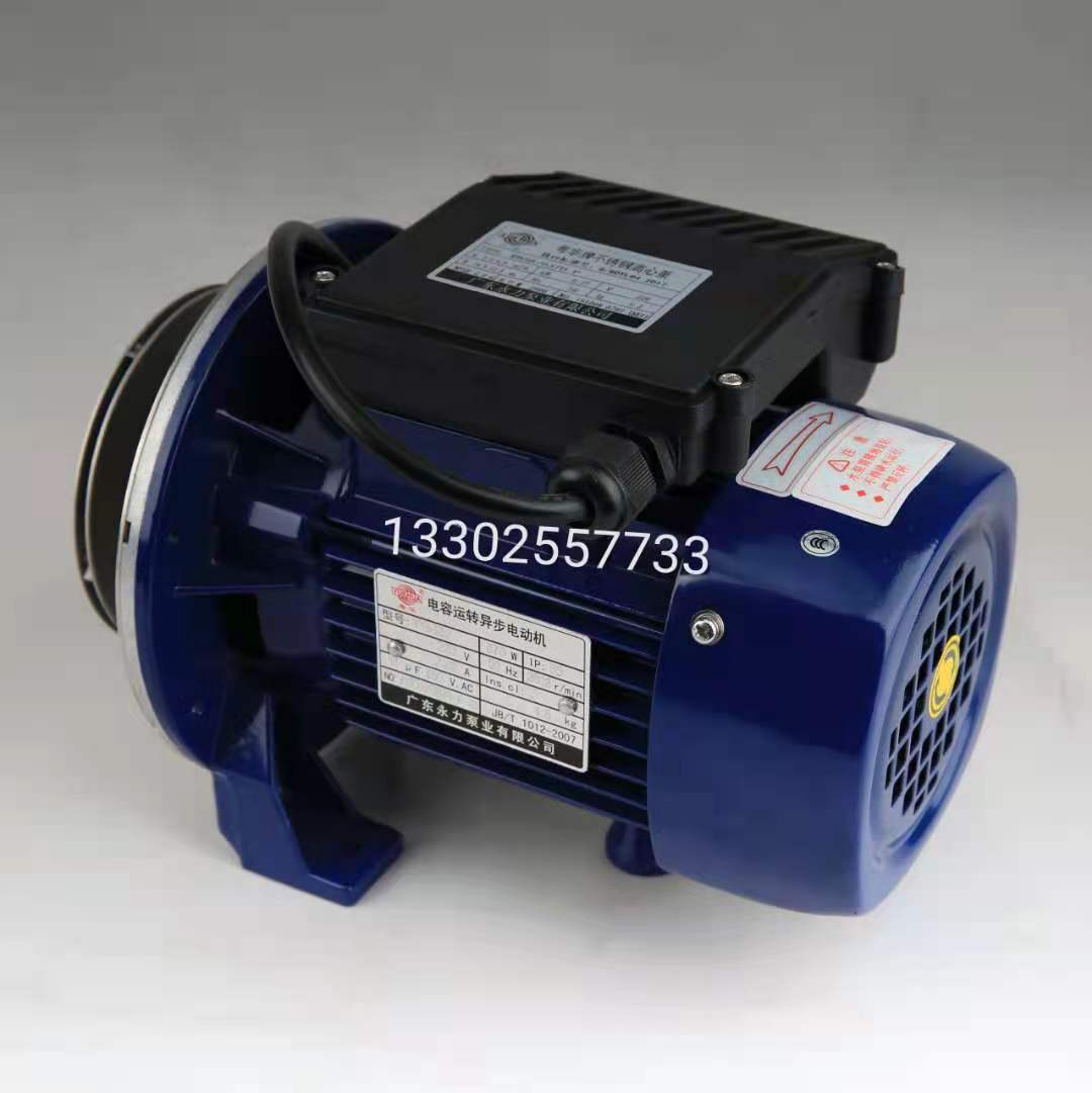 广东永力新力粤华牌WB50/025D微型不锈钢离心水泵饮用食品卫生泵