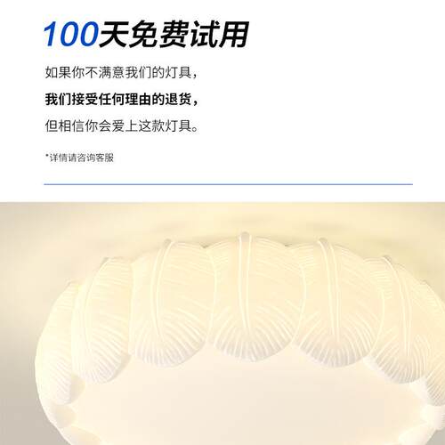 奶油风客厅灯全光谱护大厅d吸顶简羽毛滚塑灯现代约创意羽毛卧室l