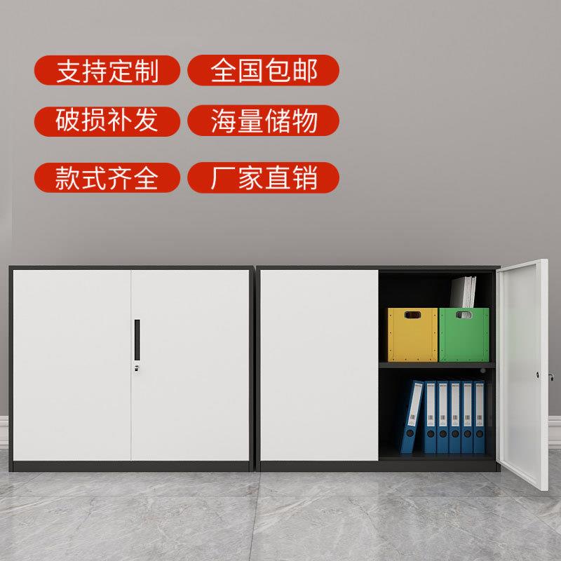 柜文件案柜矮柜储物柜档资料柜制SNV柜子移门钢铁皮