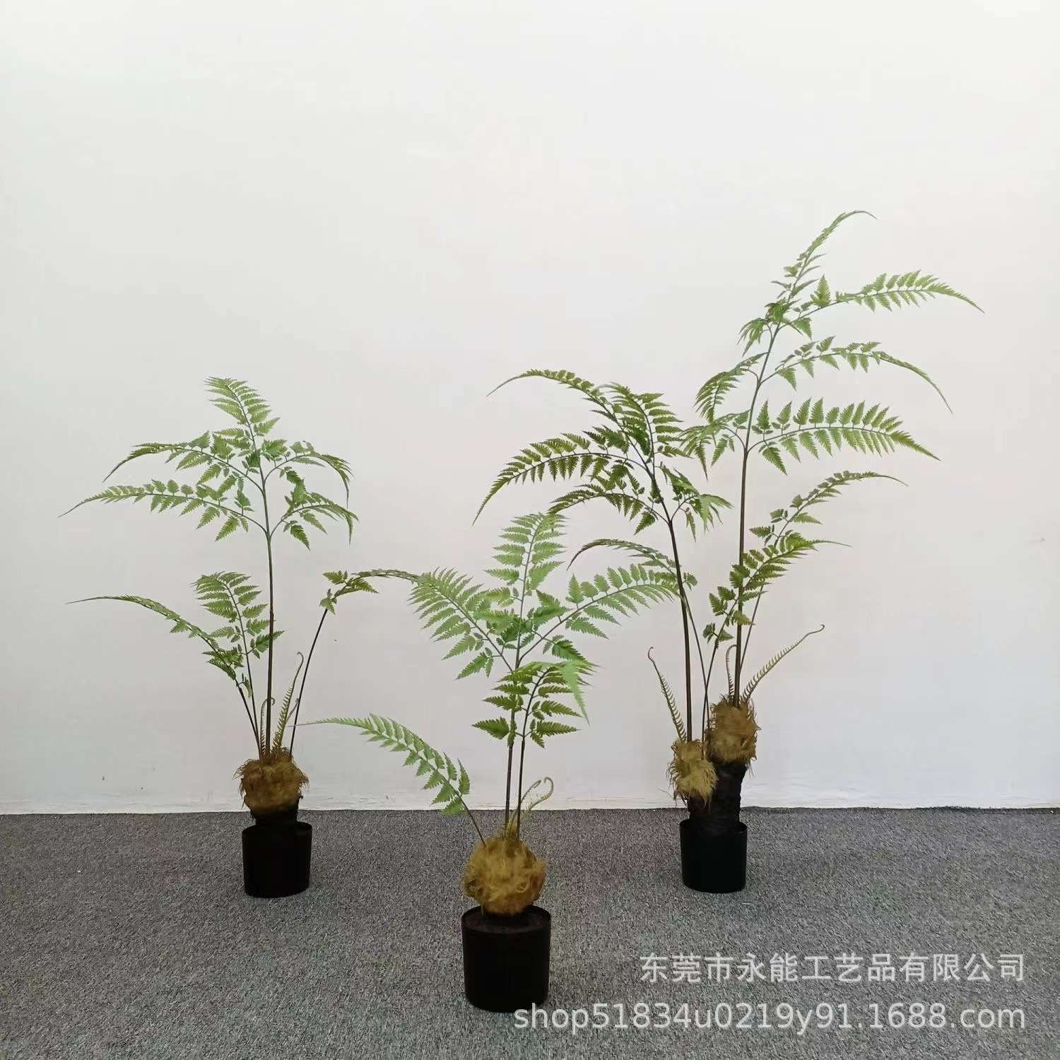 仿真猴头蕨金毛狗蕨假树室内中式园林系庭院造景装饰绿植物 盆栽