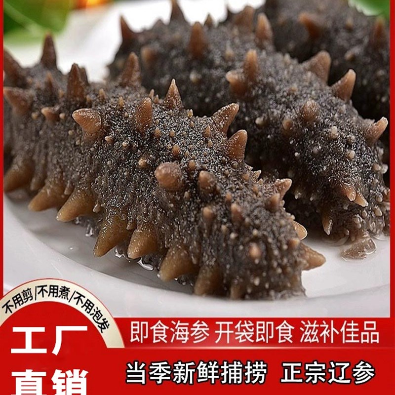 即食海参鲜食海参 野生即食大连海参辽参刺参海生鲜食单个装 海参