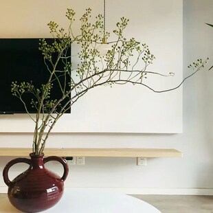 山归来鲜切花水培好养高级侘寂风摆件植物客厅摆设可做干花绿果